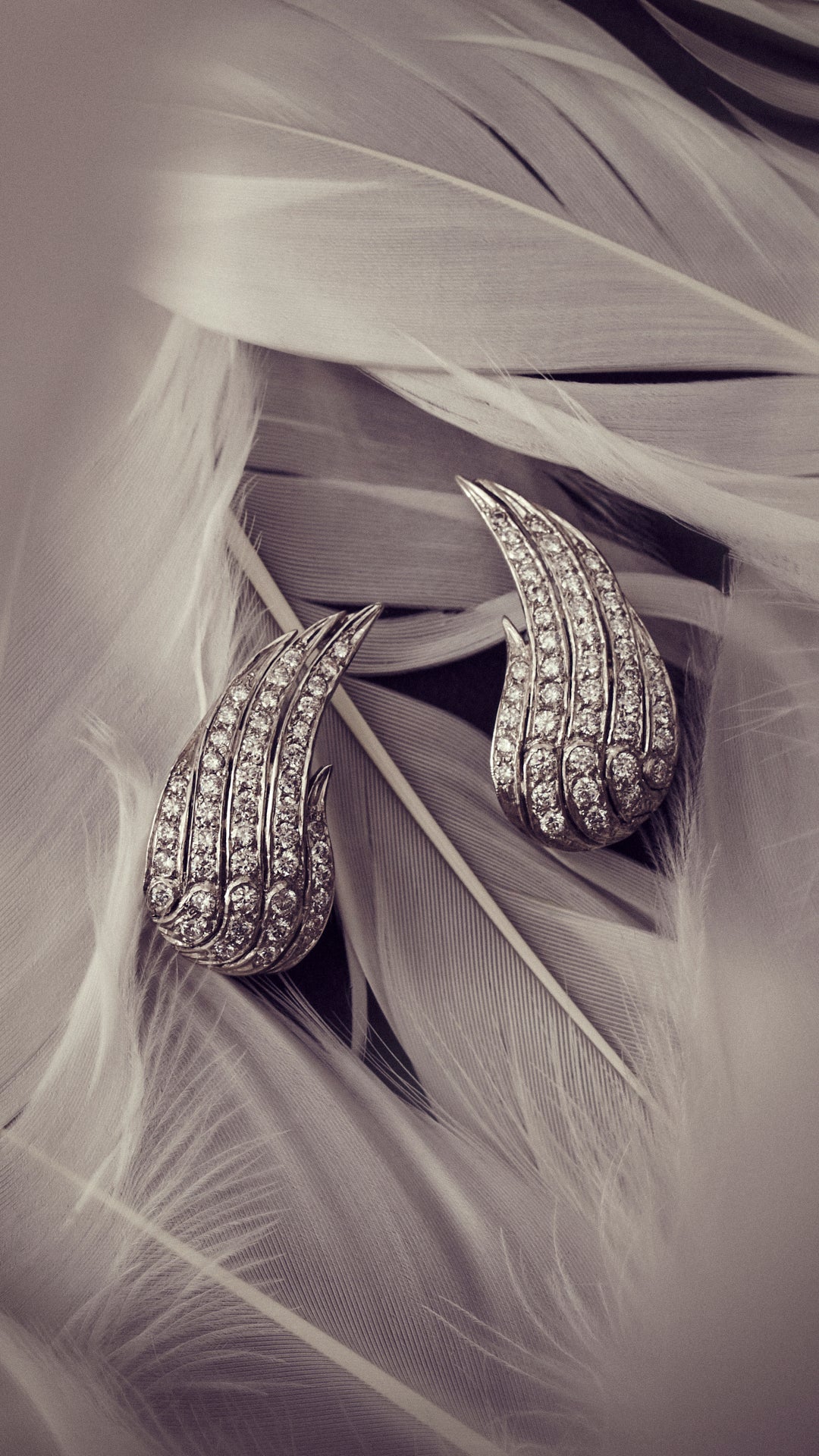 Dürer Wings - Pavé Diamonds