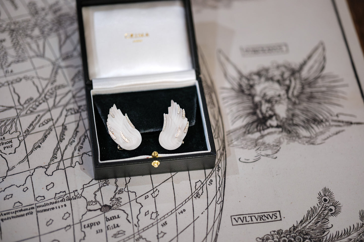 Dürer Wings - Frosted Rock Crystal