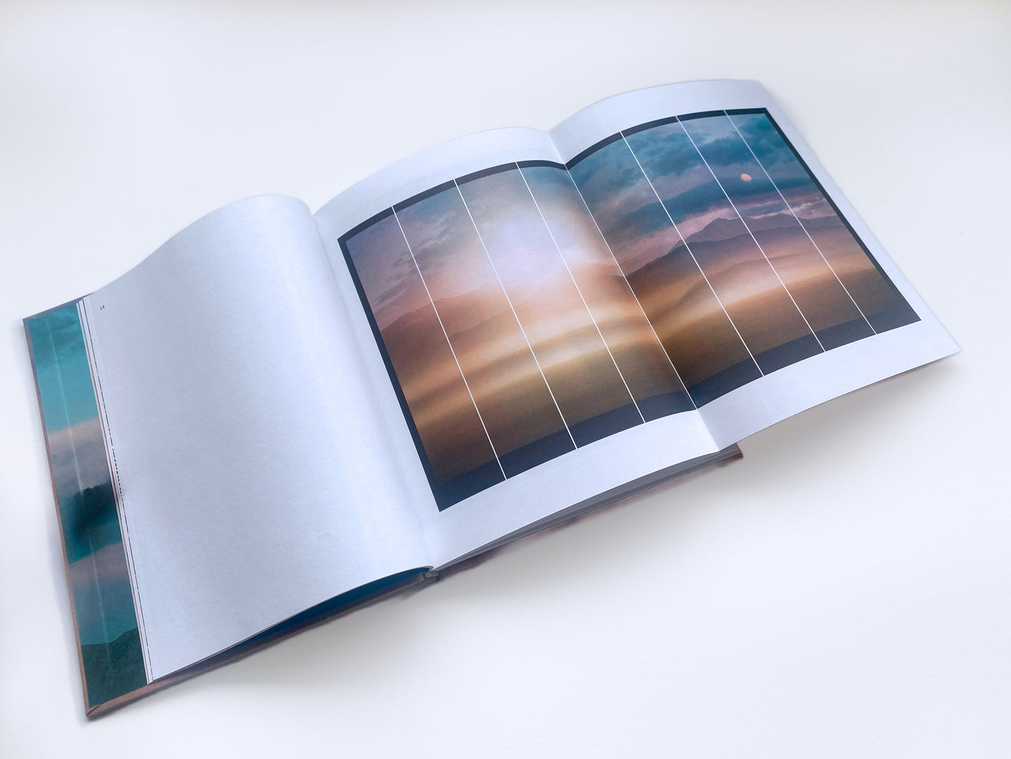 Kristina Chan: Habitable Climes Catalogue