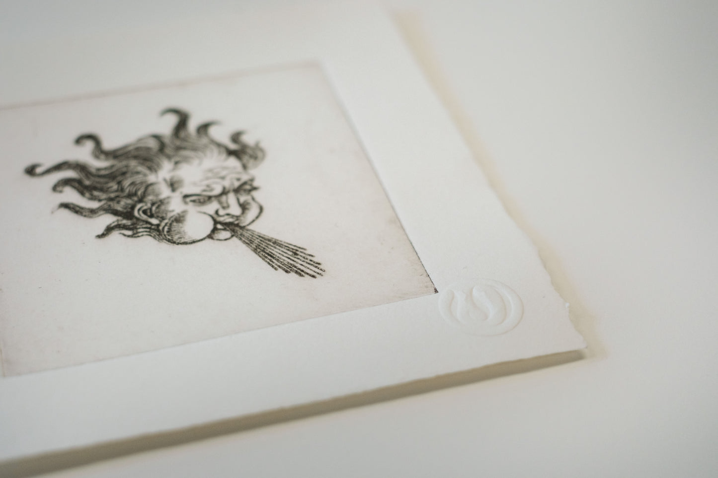 Windhead Print