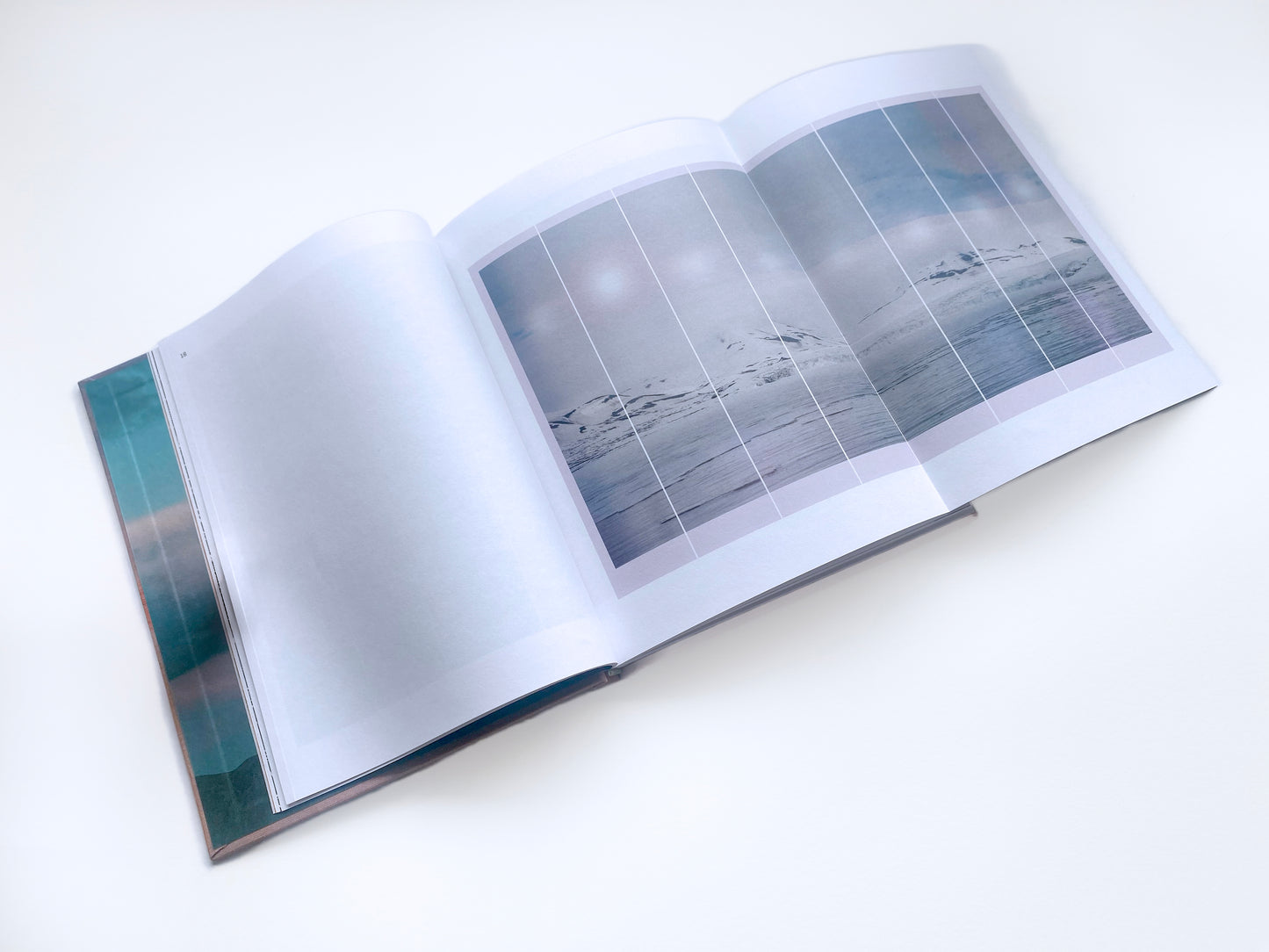 Kristina Chan: Habitable Climes Catalogue