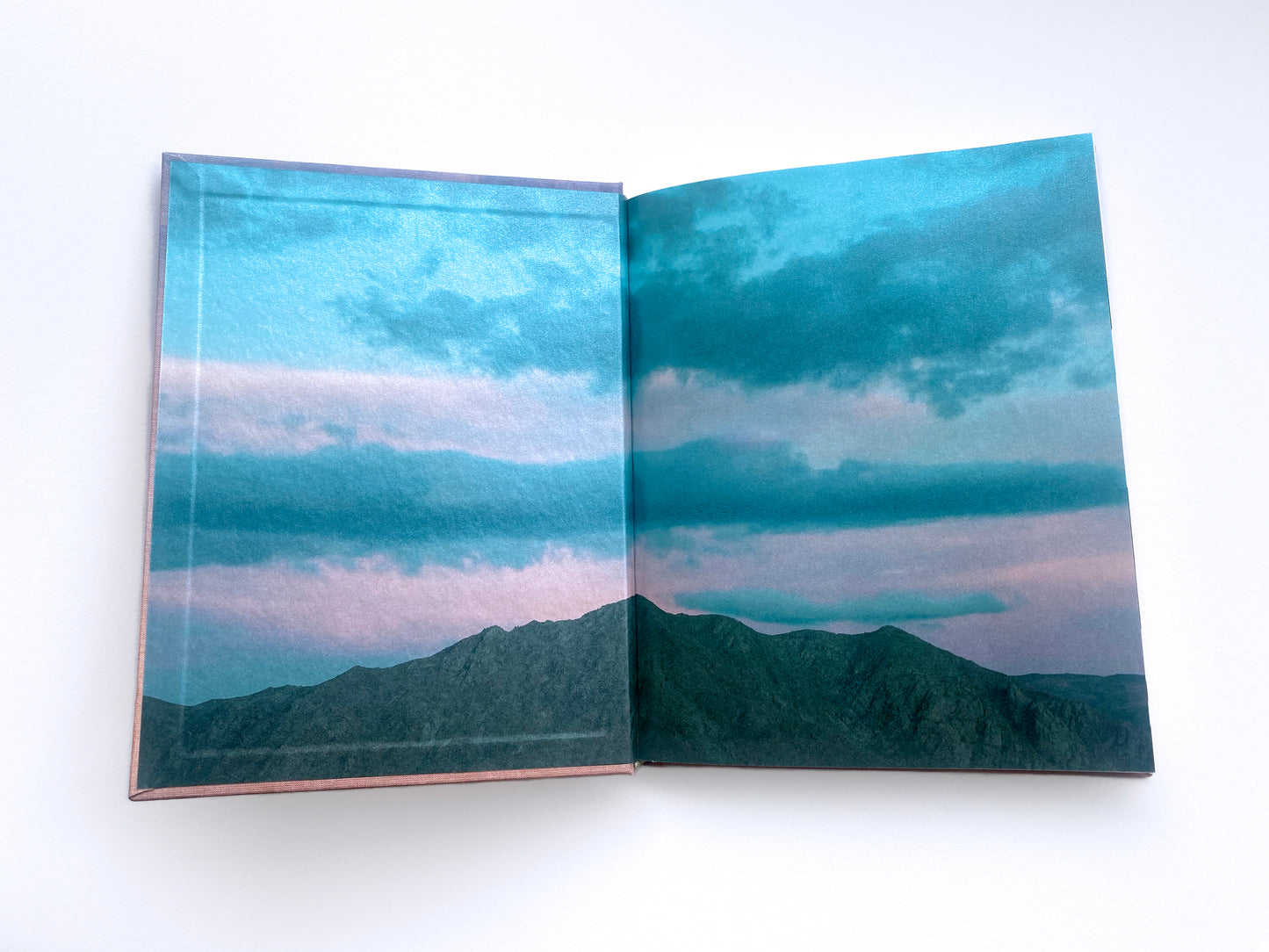 Kristina Chan: Habitable Climes Catalogue