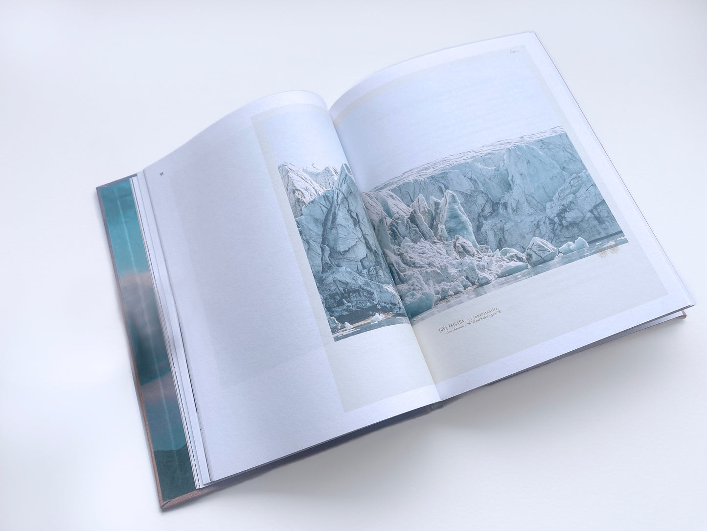 Kristina Chan: Habitable Climes Catalogue